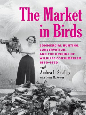 cover image of The Market in Birds